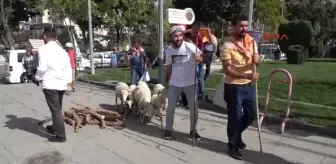 Afyonkarahisar Fuar Öncesi Çoban Ateşi