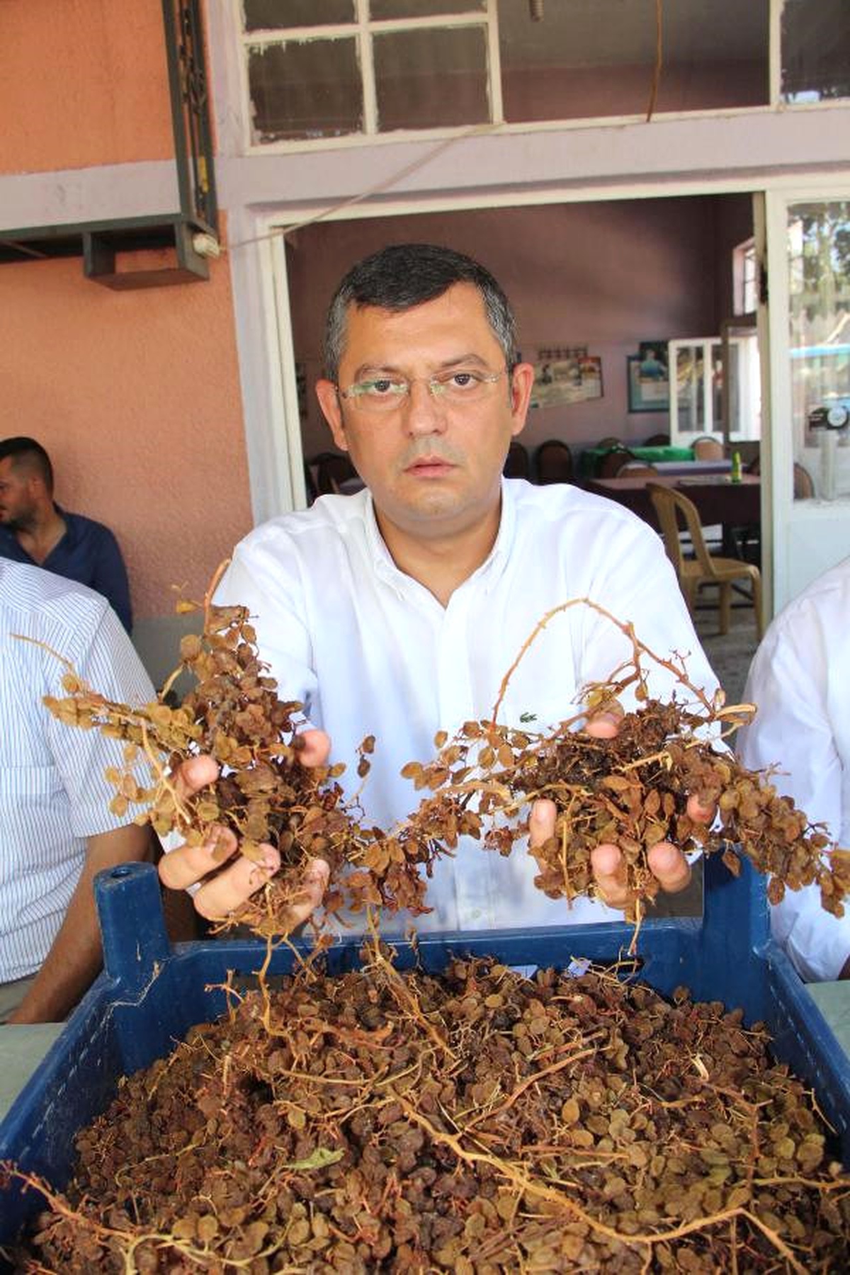 CHP\'li Özel\'den, Bakan Fakıbaba\'ya Kuru Üzüm Fiyatı Tepkisi