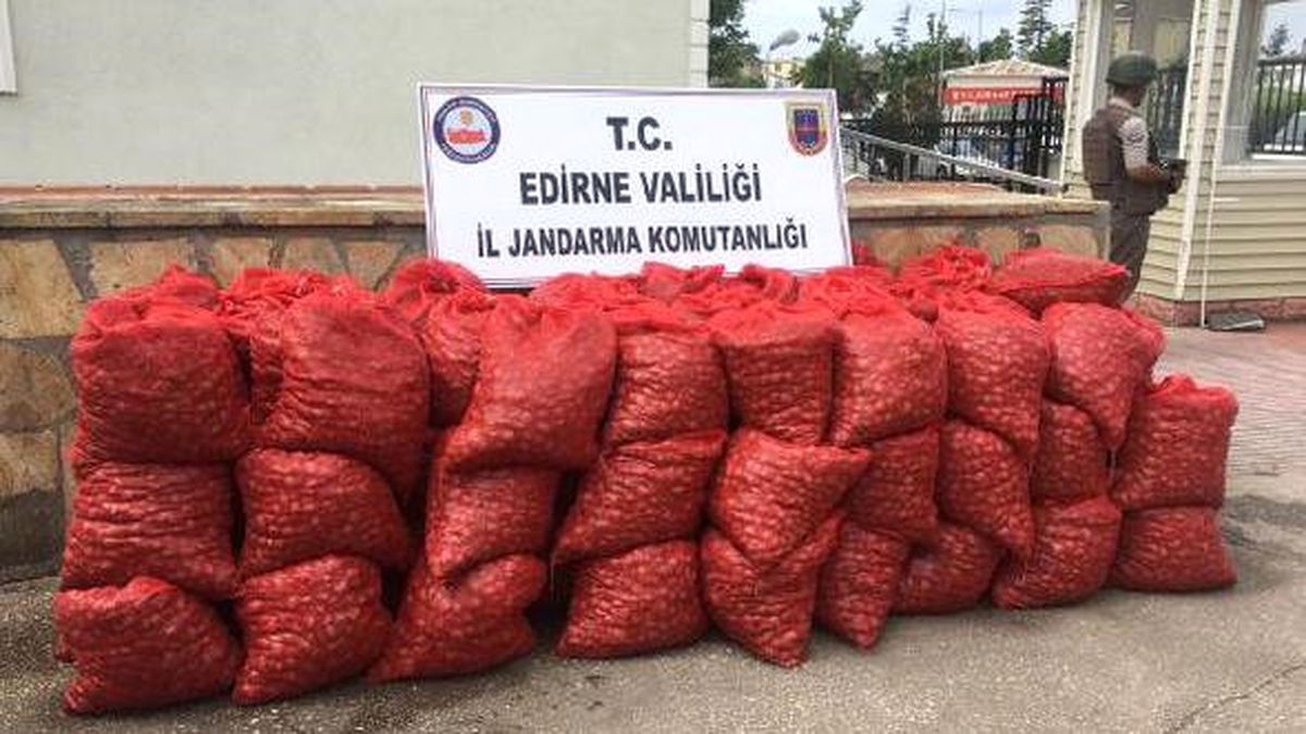 Edirne\'de 1,2 Ton Kaçak Midye Ele Geçirildi