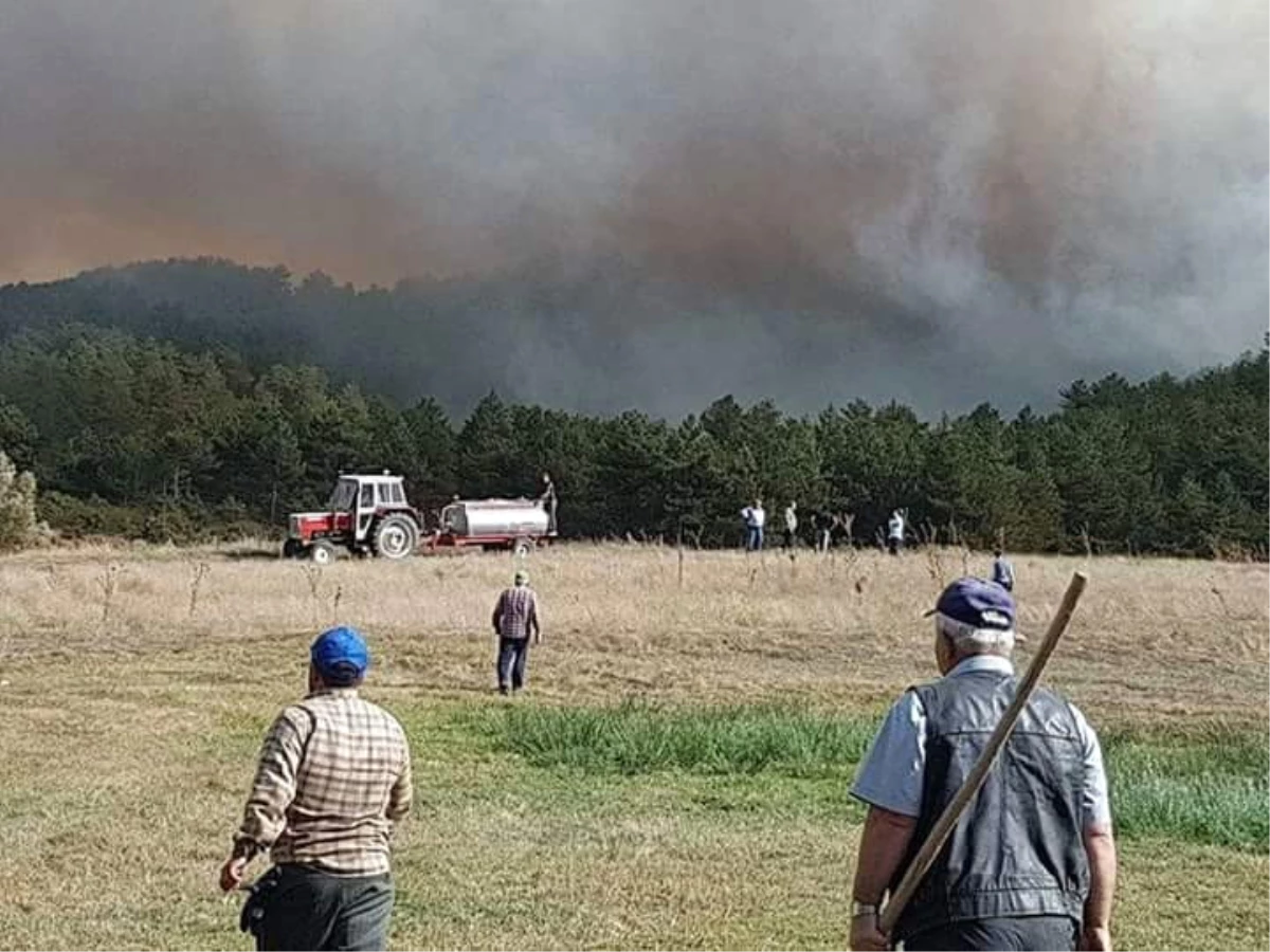 Emet\'teki Orman Yangını Kontrol Altına Alınamıyor