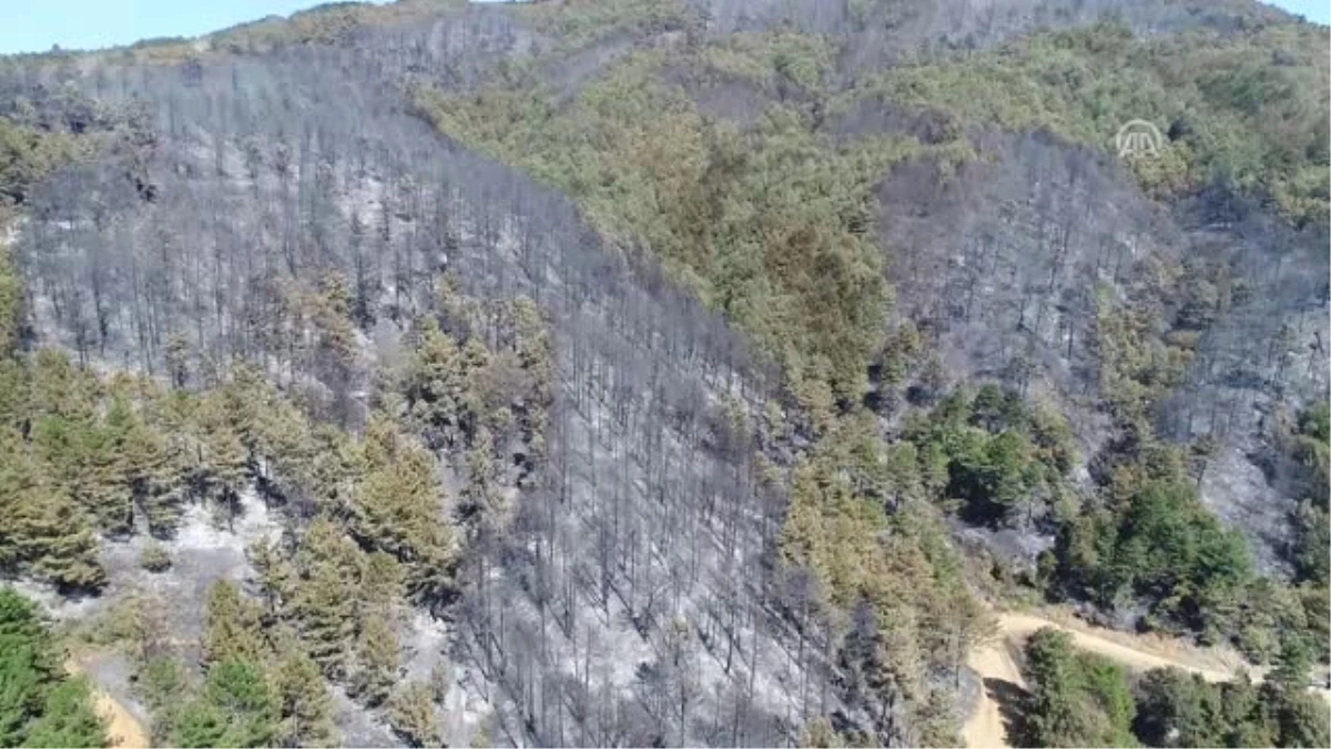 Geyve\'deki Orman Yangınından Etkilenen Alan Havadan Görüntülendi - Sakarya