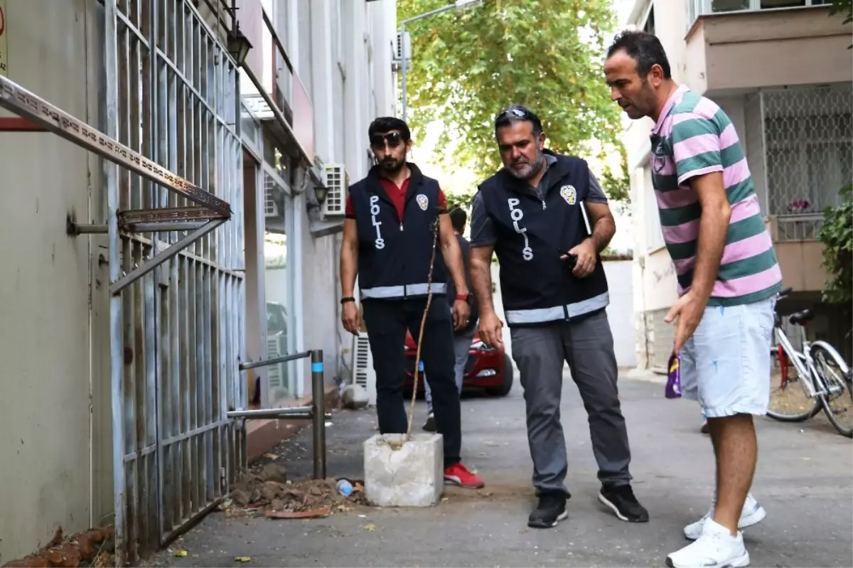 Kafası Kesilen Yavru Kedi Emniyeti Harekete Geçirdi Son Dakika 5717