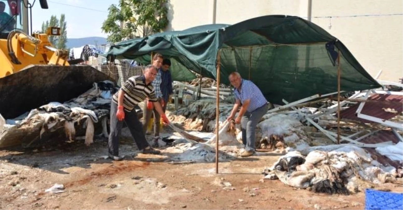 Kurban Derileri Yola Çıkıyor