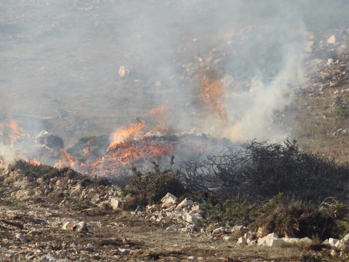 Kütahya ve Bilecik\'teki Orman Yangılarına Müdahaleler Sürüyor