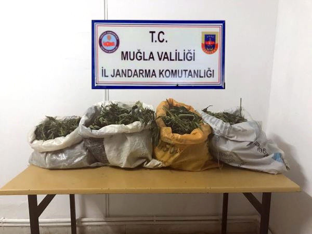 Muğla\'da 10 Kilogram Kubar Esrar Ele Geçirildi
