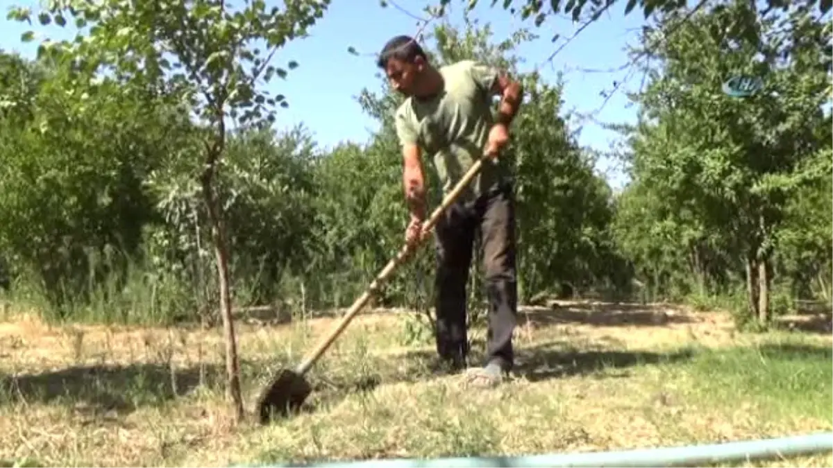 Nüfus Cüzdanını Kaybetti, Hakkında Onlarca Dava Açıldı