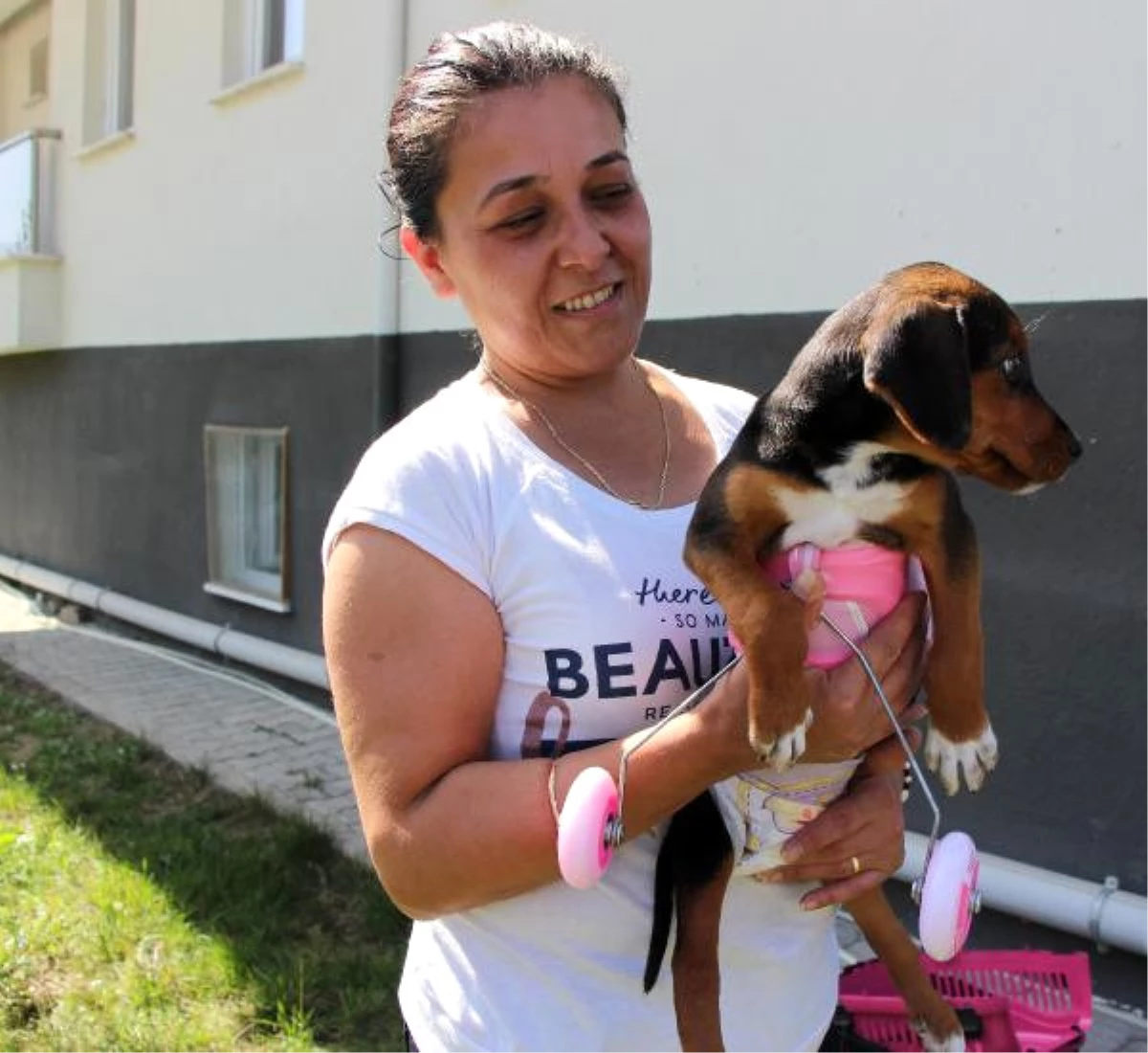 Veterinerin Yaşamaz Dediği Felçli Yavru Köpek, Hayvanseverin Yardımıyla Hayata Tutundu
