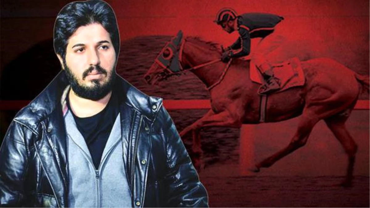 Zarrab Cezaevindeyken Safkan Atı, Sahibine 1,2 Milyon Lira Kazandırdı