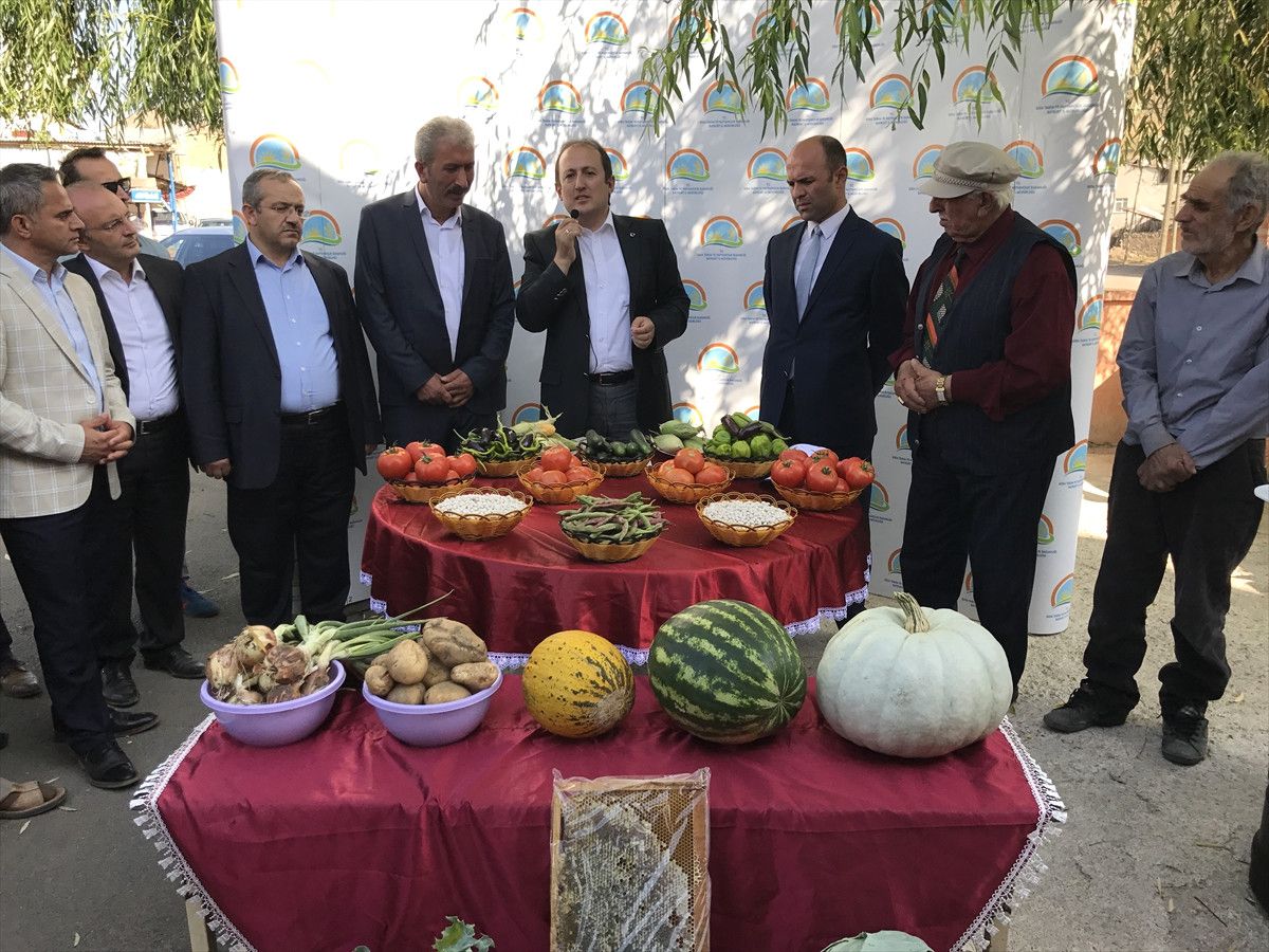 Bayburt\'ta Sebze ve Meyve Hasatı