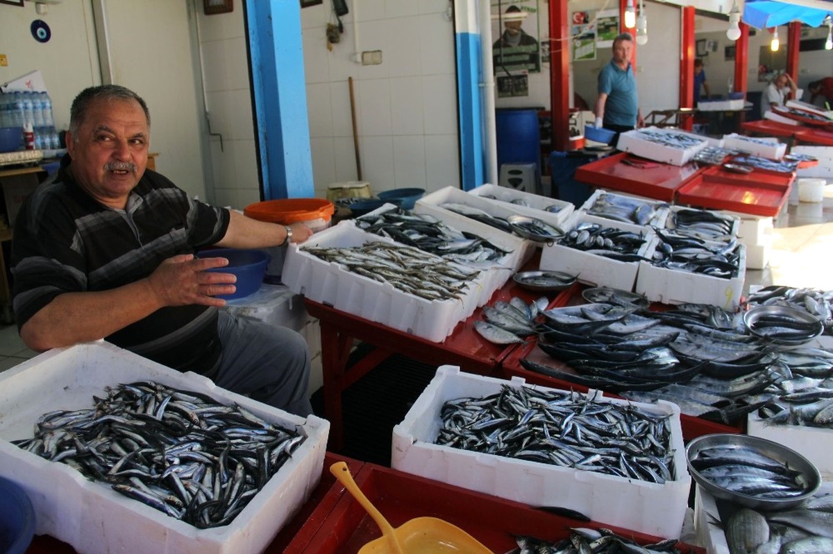 Giresun\'da Yerli Hamsi Çıktı; Fiyatı İse 15 Tl