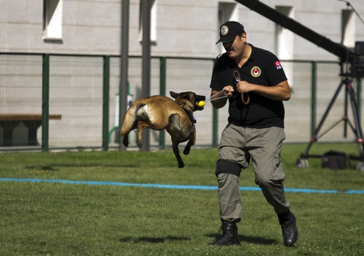 Gümrük ve Ticaret Bakanlığı Köpek Eğitim Merkezi Açıldı