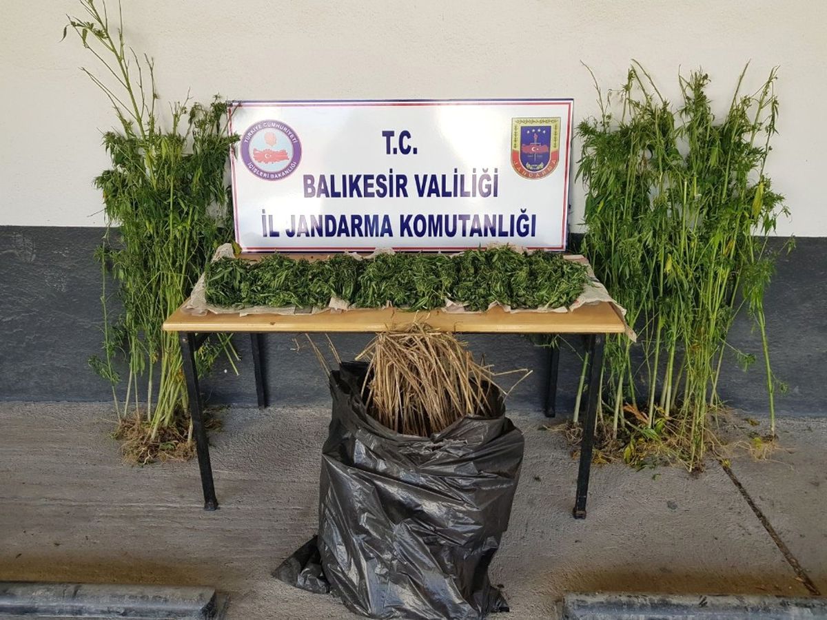 Jandarmadan Uyuşturucu Operasyonu: 2 Gözaltı