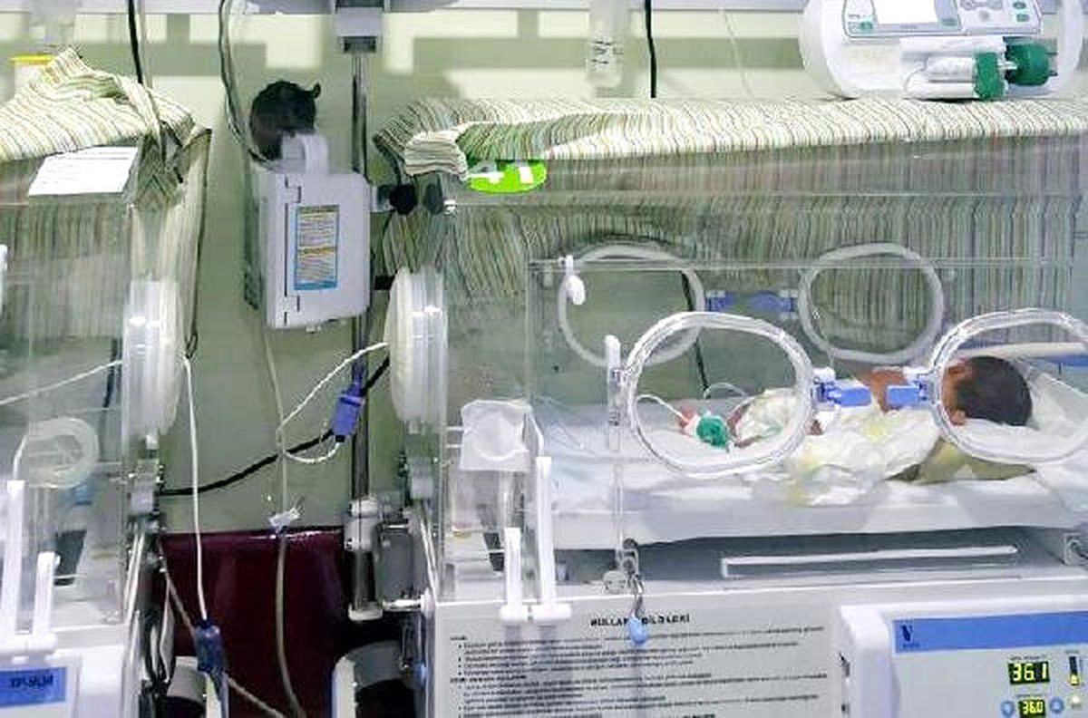 Şanlıurfa\'da Özel Bir Hastanenin Yeni Doğan Servisine Fare Girdi