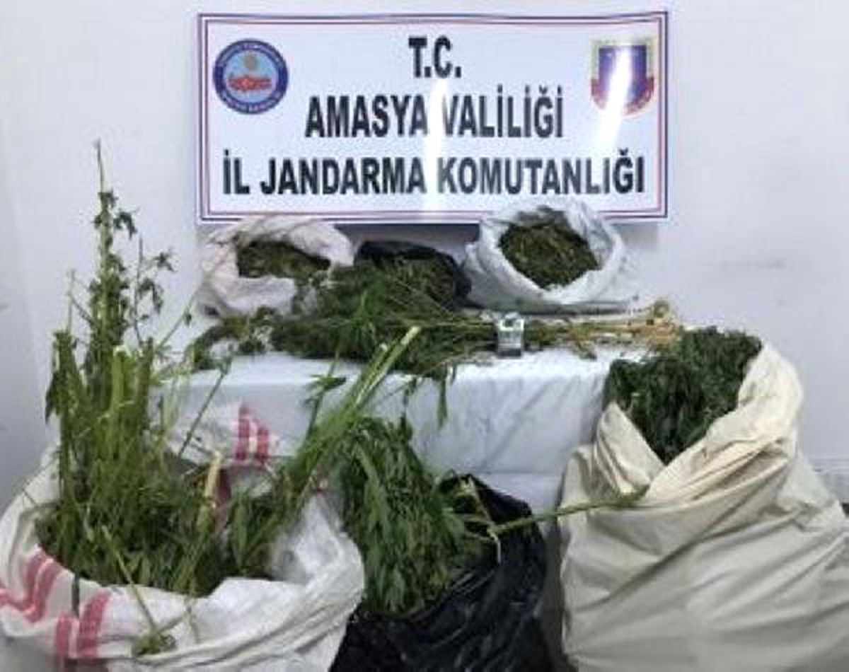 Üzüm Bağında Uyuşturucu Operasyonu