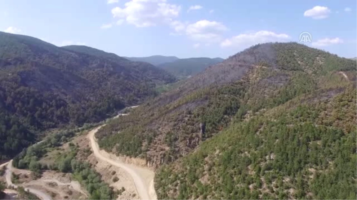 Vali Nayir, Orman Yangınından Etkilenen Bölgede İncelemelerde Bulundu