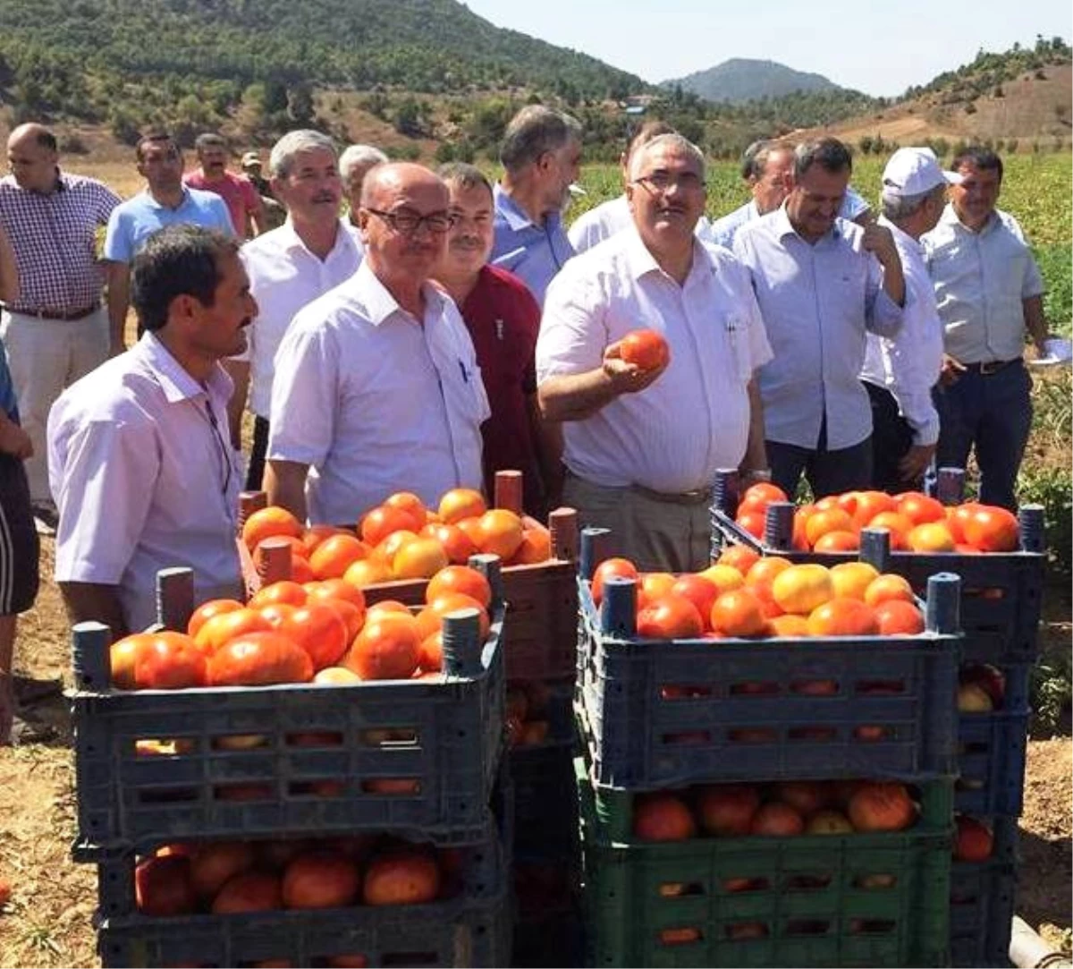 AK Parti Milletvekili Önal: "Çiftçilerimizin Yüzü Desteklemelerle Gülüyor"