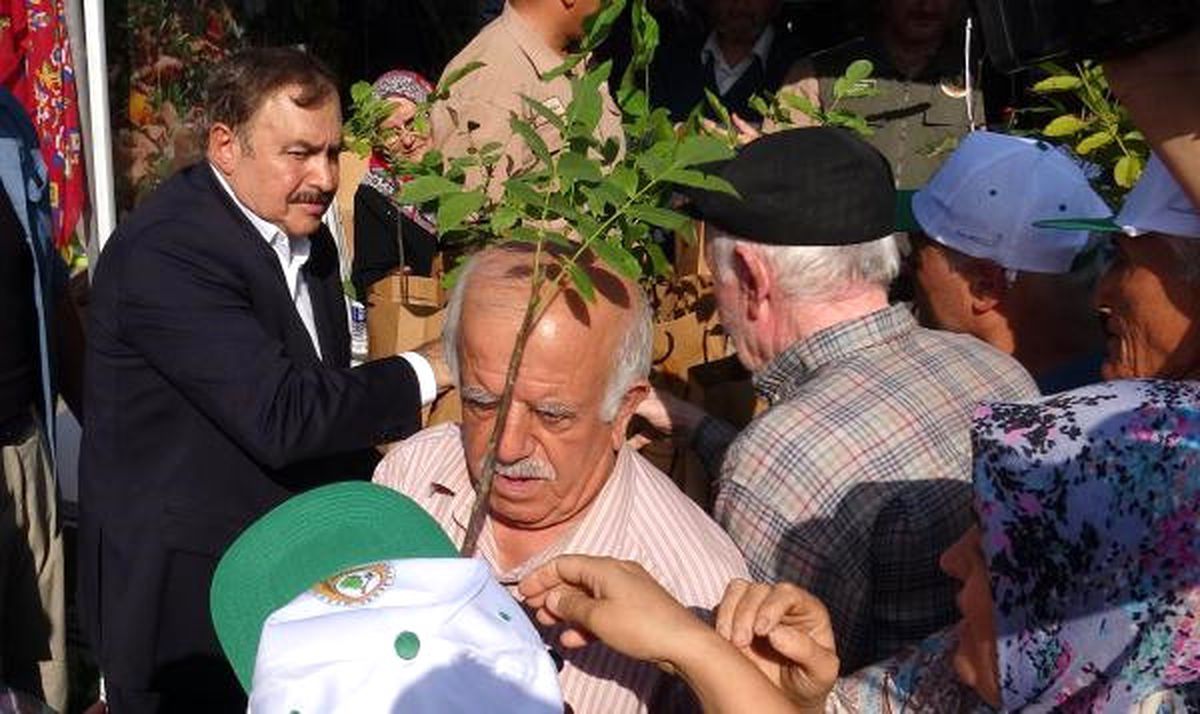 Bakan Eroğlu: Akdeniz Ülkeleri Arasında En Düşük Orman Yangını Türkiye\'de (2)