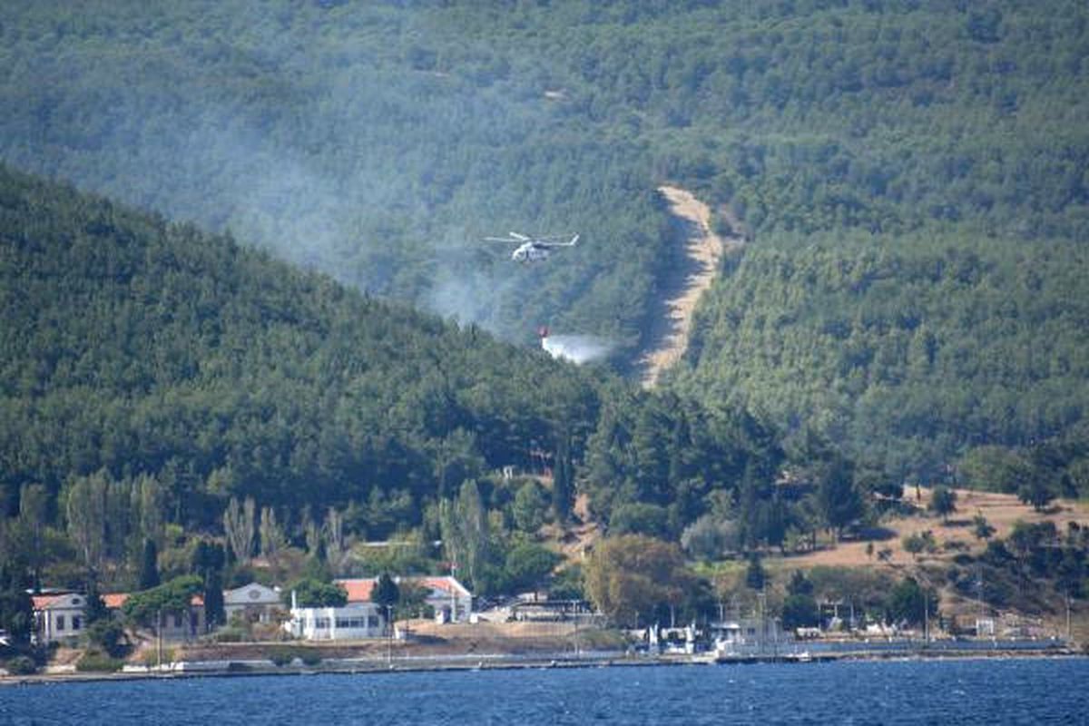 Çanakkale\'de Şehitlikte Orman Yangını (4)