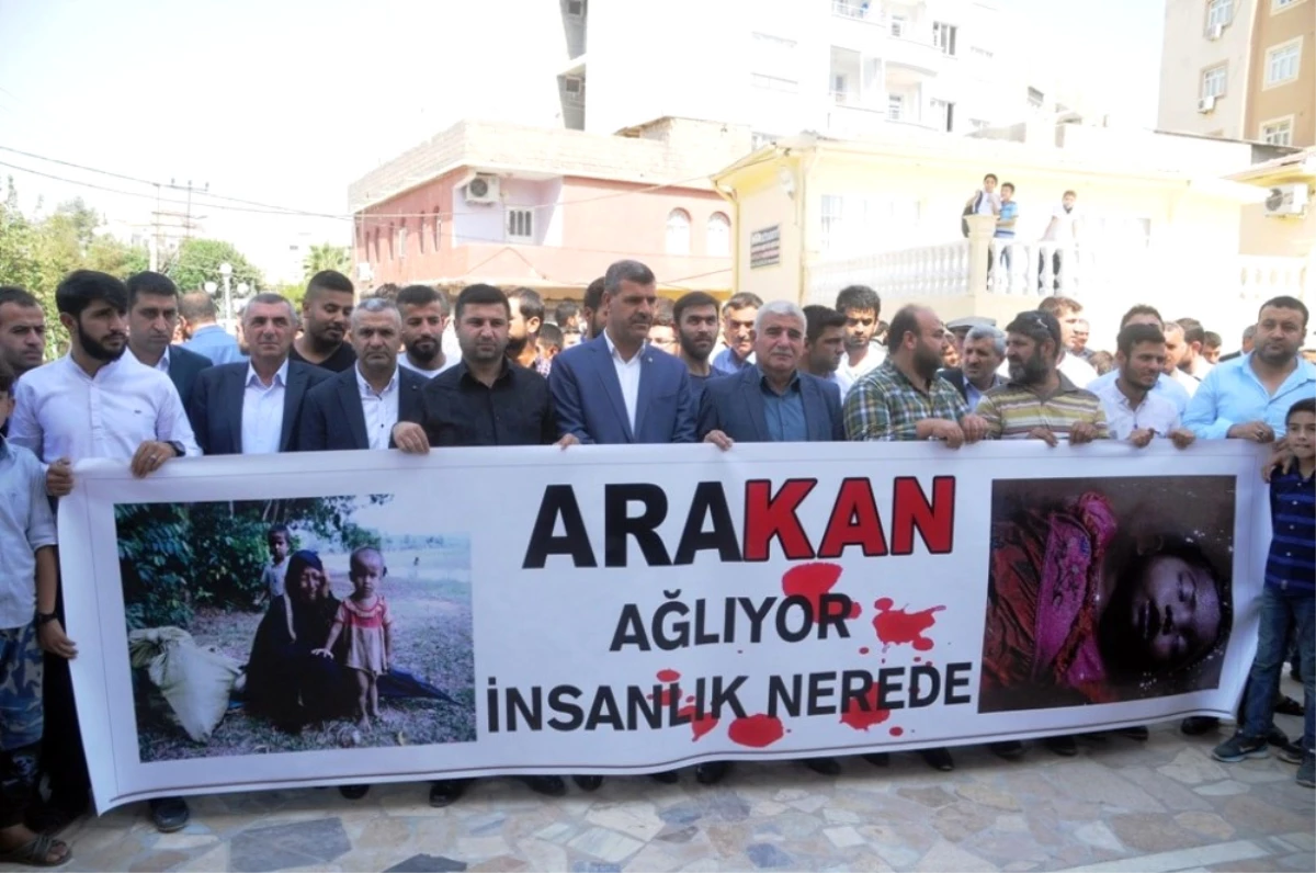 Cizre\'de Arakan Protestosu