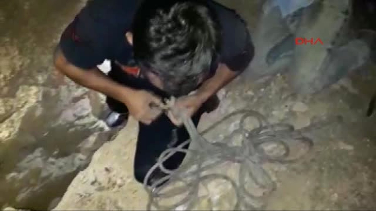 Çukura Düşen Sokak Köpeğini, İtfaiye Kurtardı
