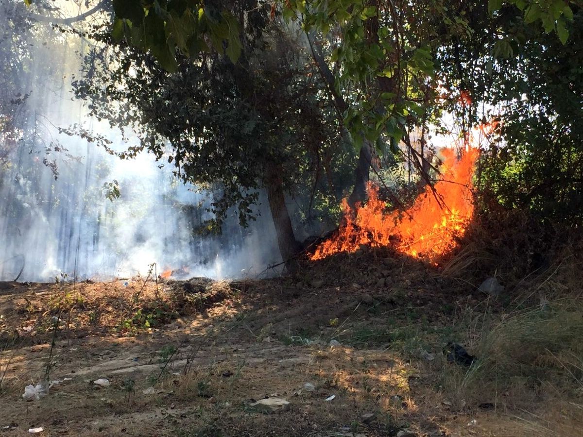 Manavgat Irmağı Kenarında Yangın