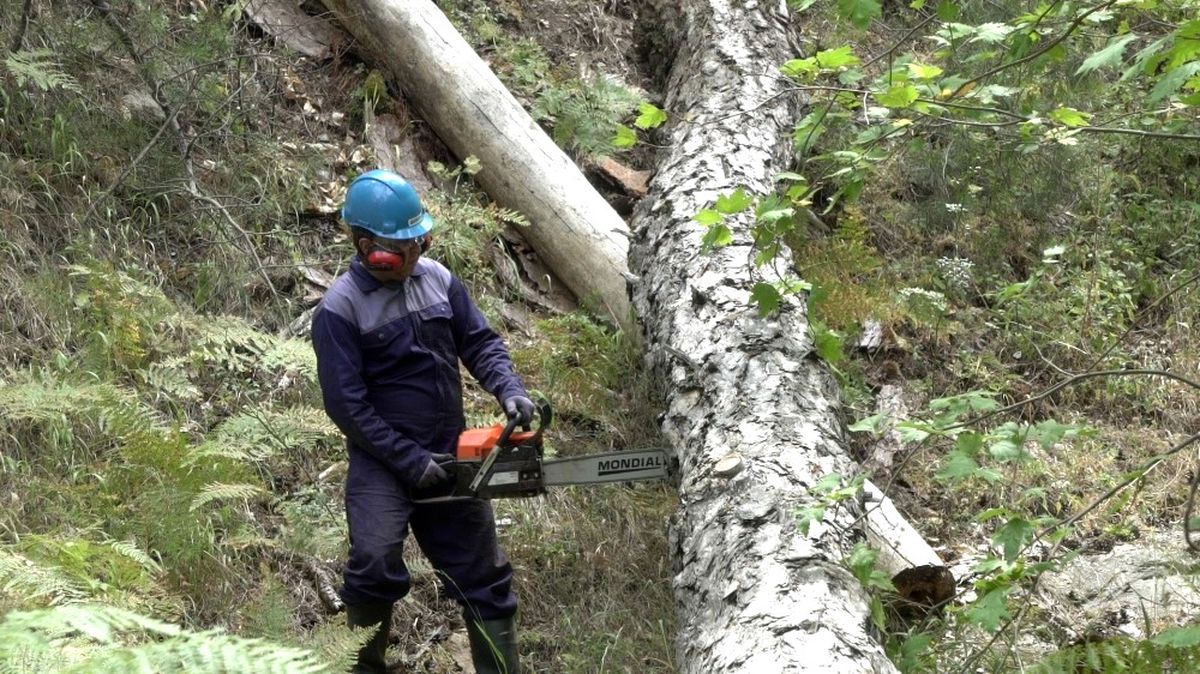 Mondial, Tarım Aletleri Satışına Başladı
