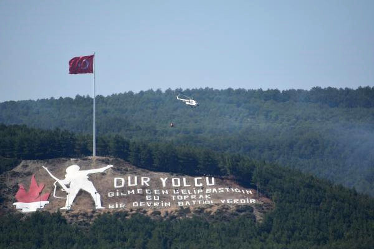 Şehitlikte Orman Yangını (5)
