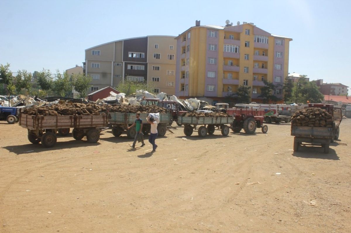 Traktörlerle Tezek Satabilmek İçin Günlerdir Bekliyorlar