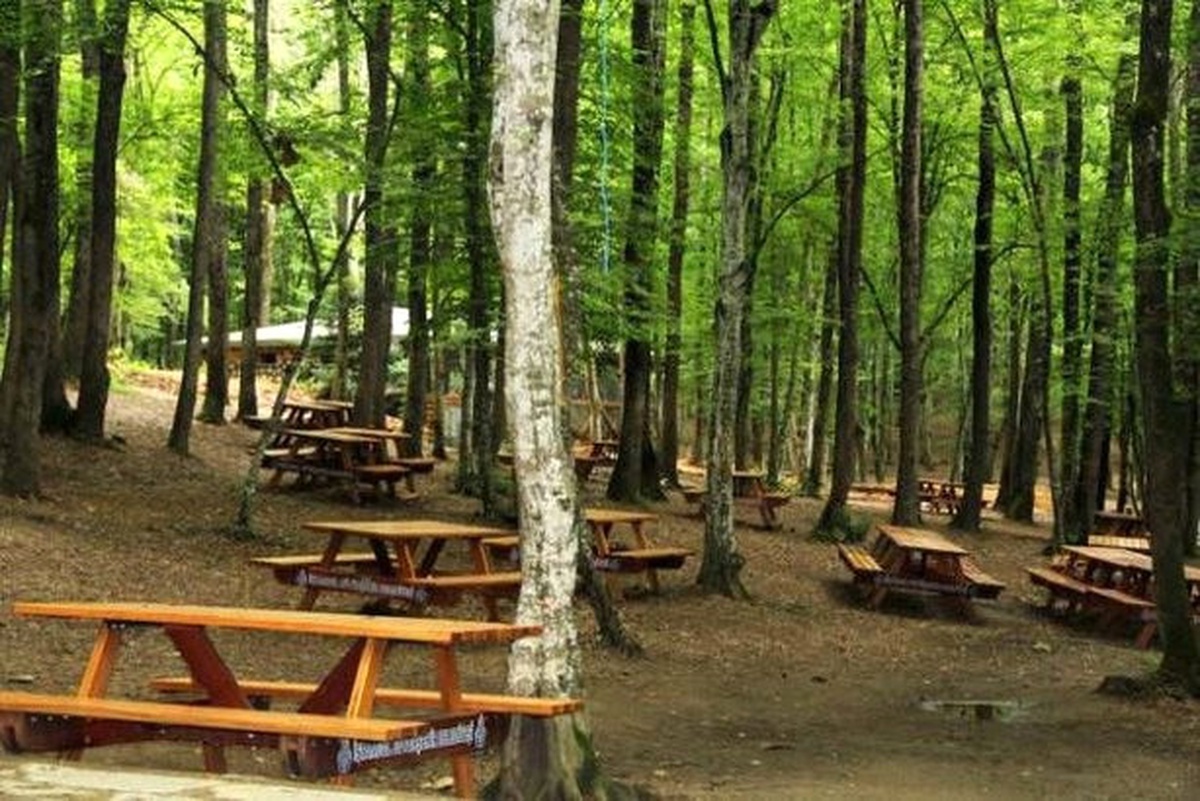 Türkiye\'nin 221. Tabiat Parkı Karabük\'te Yapılacak