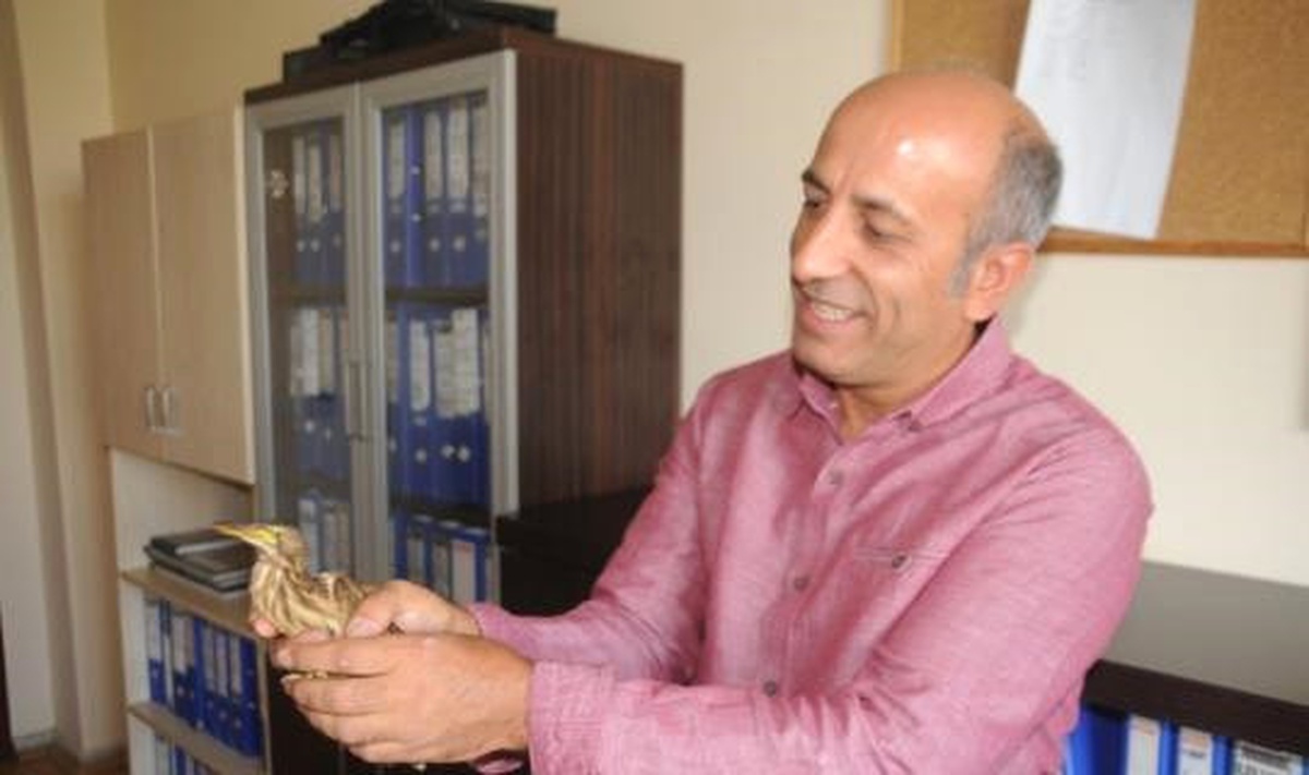 Yavru Balaban Kuşu Koruma Altına Alındı