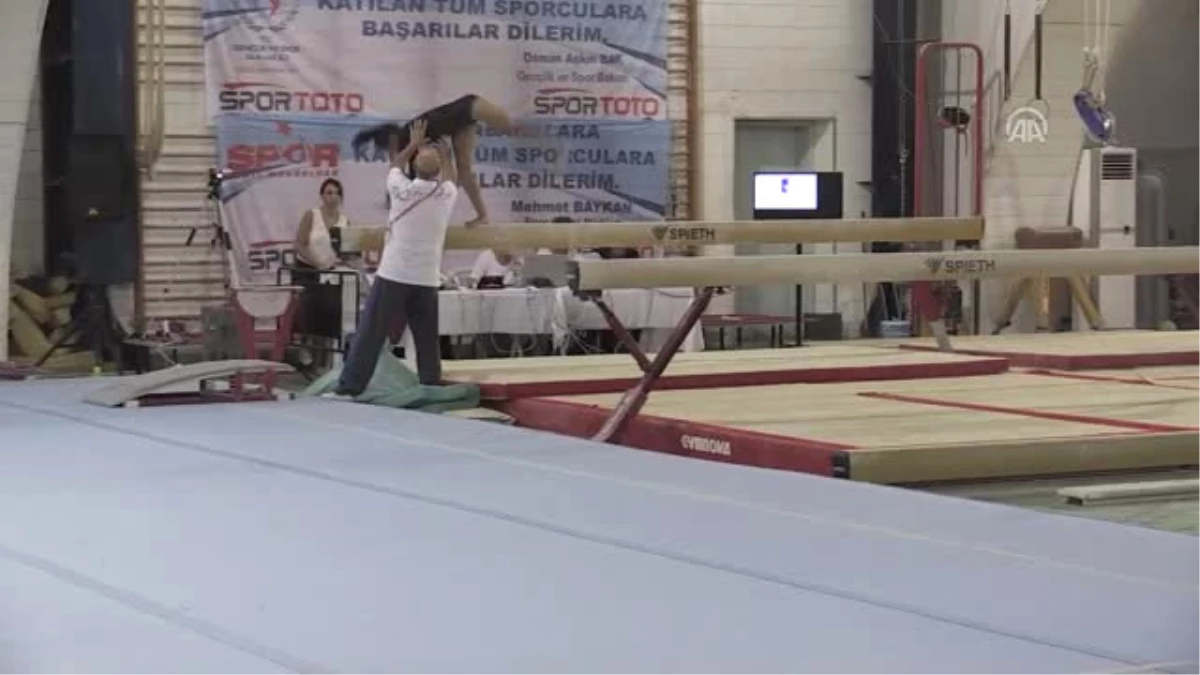 Artistik Cimnastik Federasyon Kupası