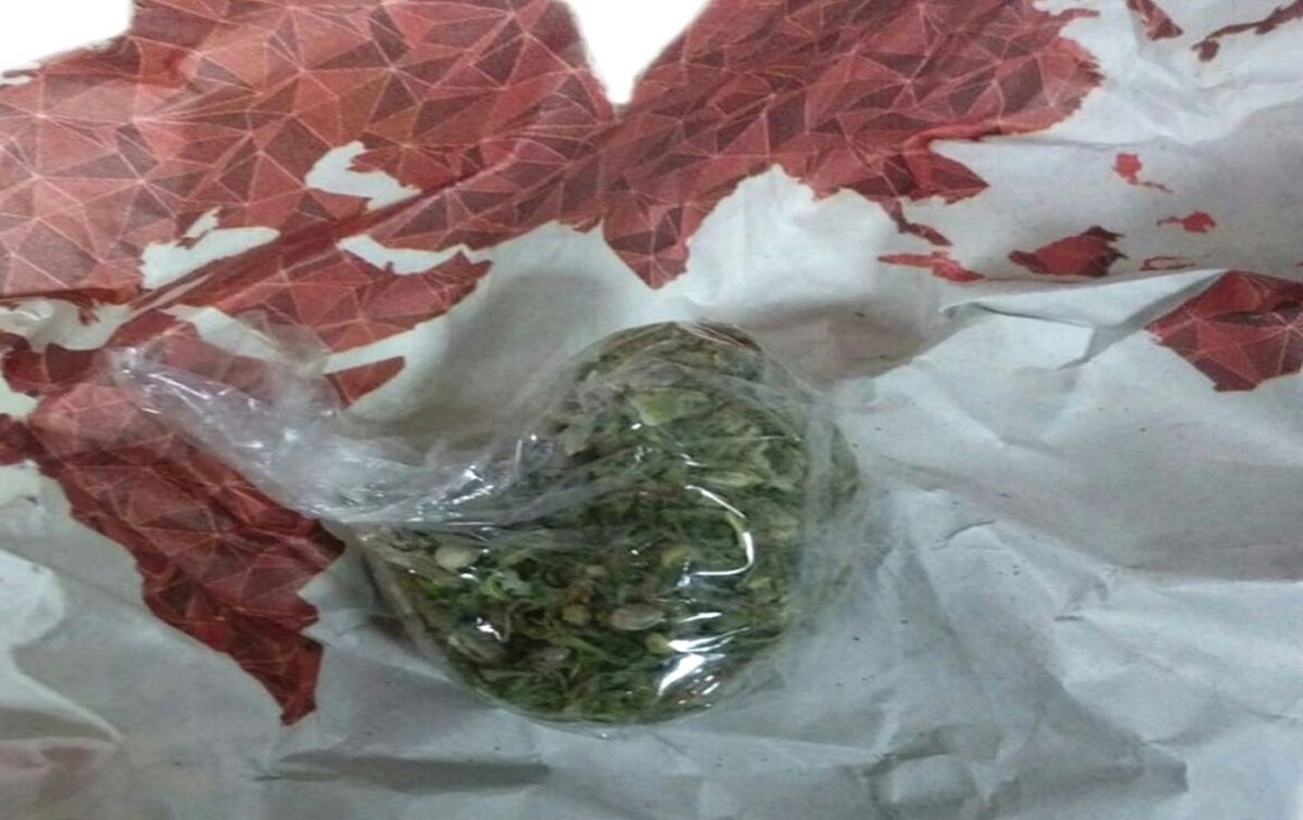 Elazığ\'da Narko İlçe Uygulaması: 4 Şüpheli Yakalandı