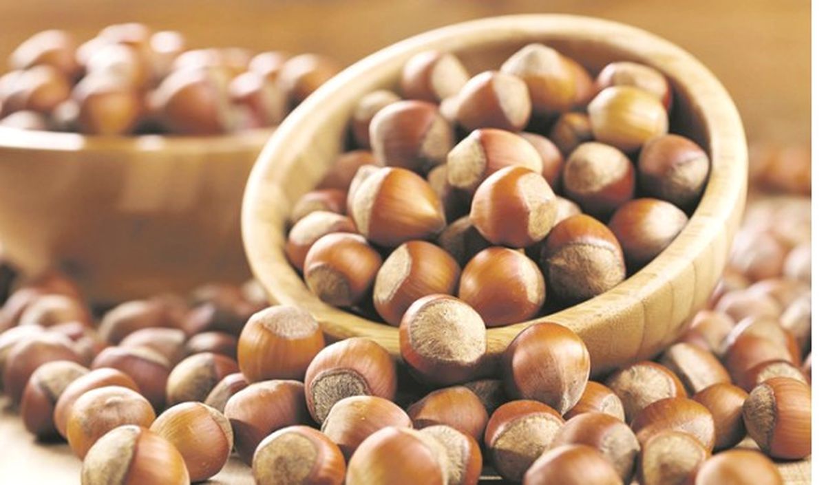 Fındığı En Çok Almanya\'ya Satıyoruz