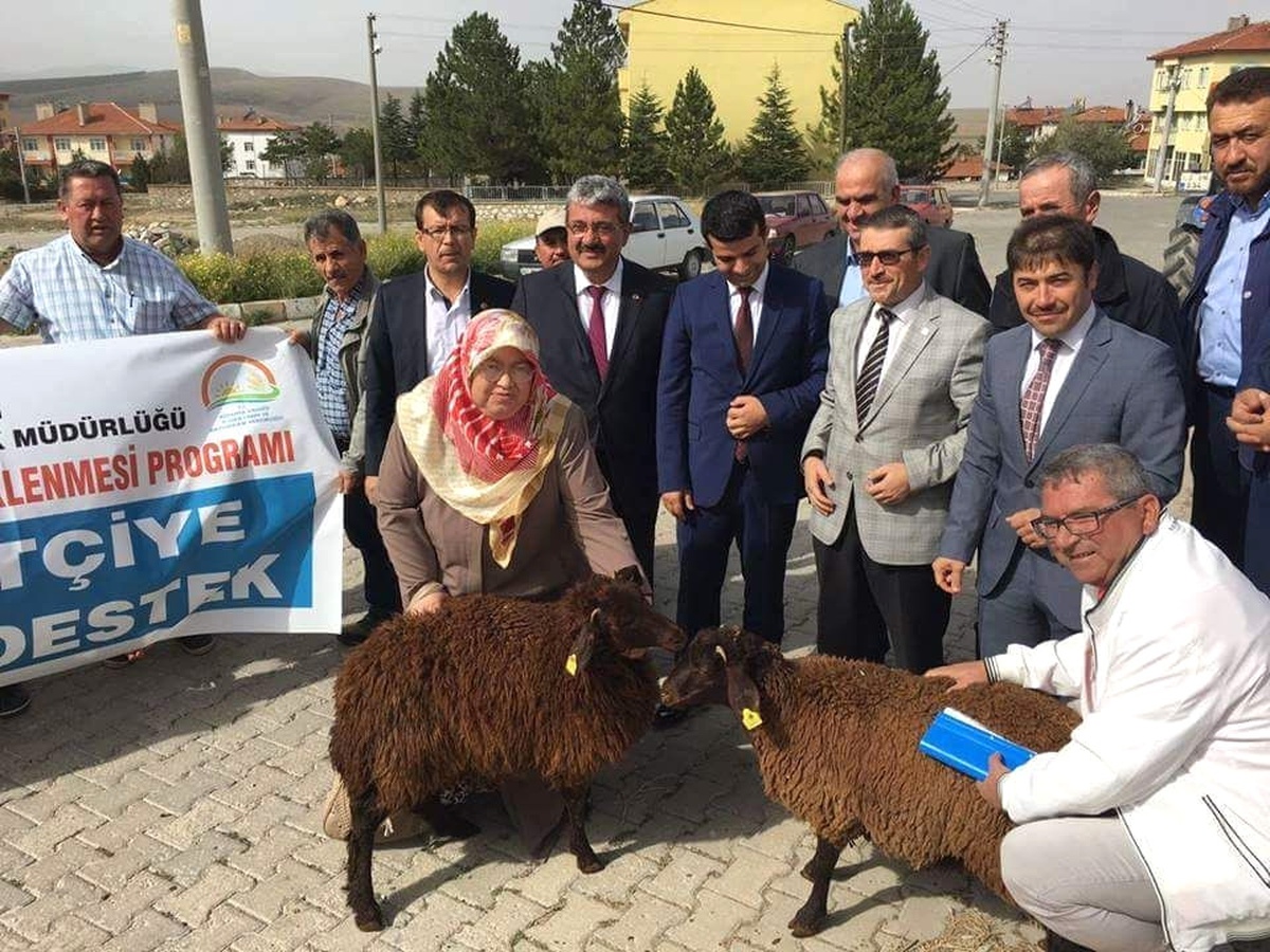 Müdür Fatih Yıldız: Hayvancılık Destekleri Uygulama Esasları Belli Oldu