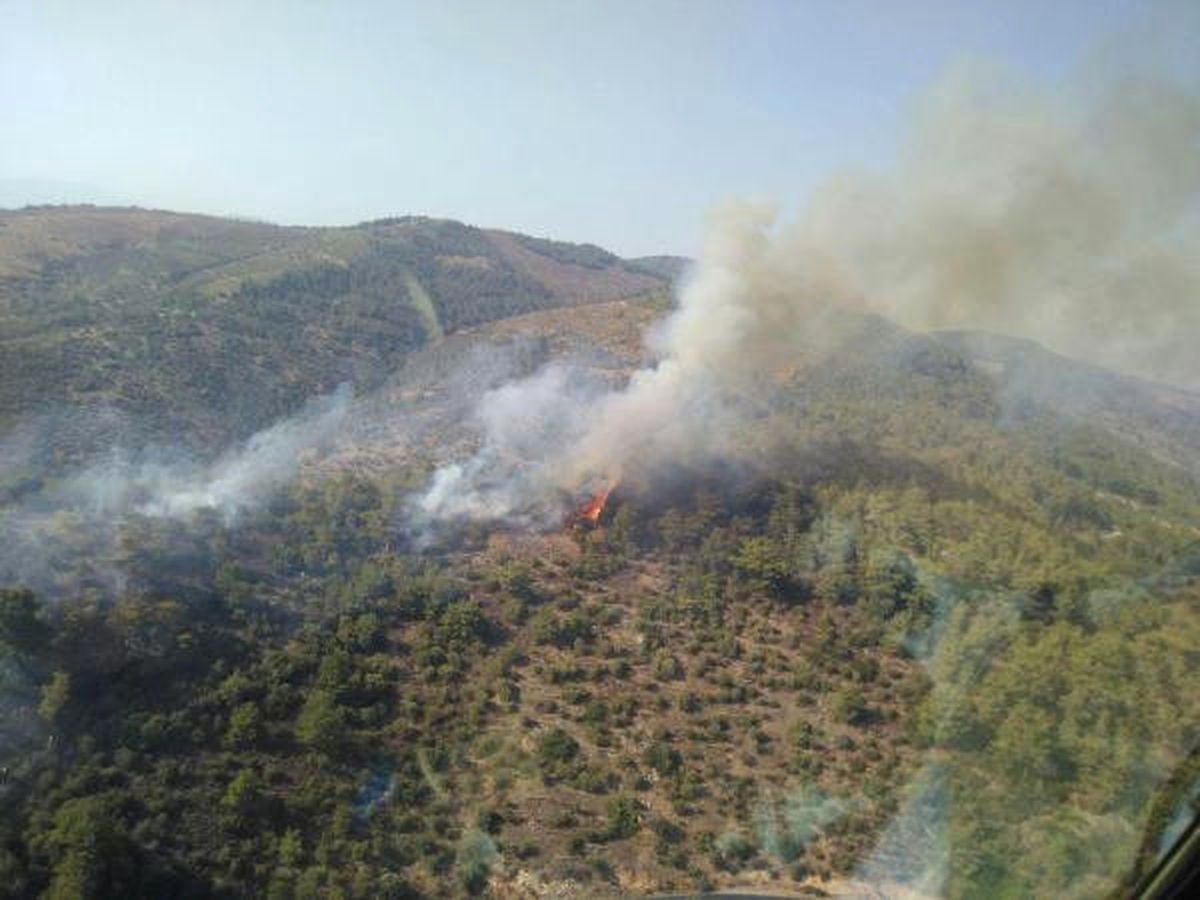 Ormanlık ve Makilik Alanda Şüpheli Yangın