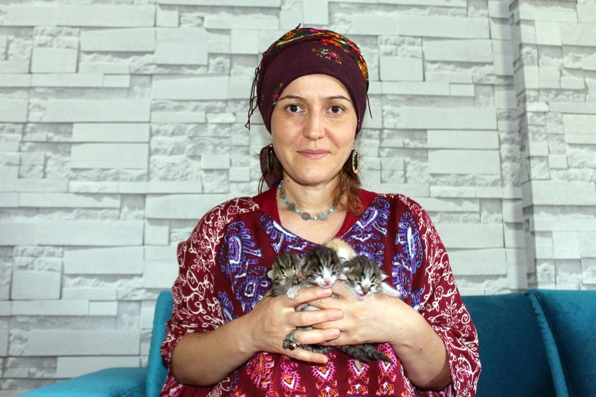 Yavru Kedilere Bebeği Gibi Bakıyor