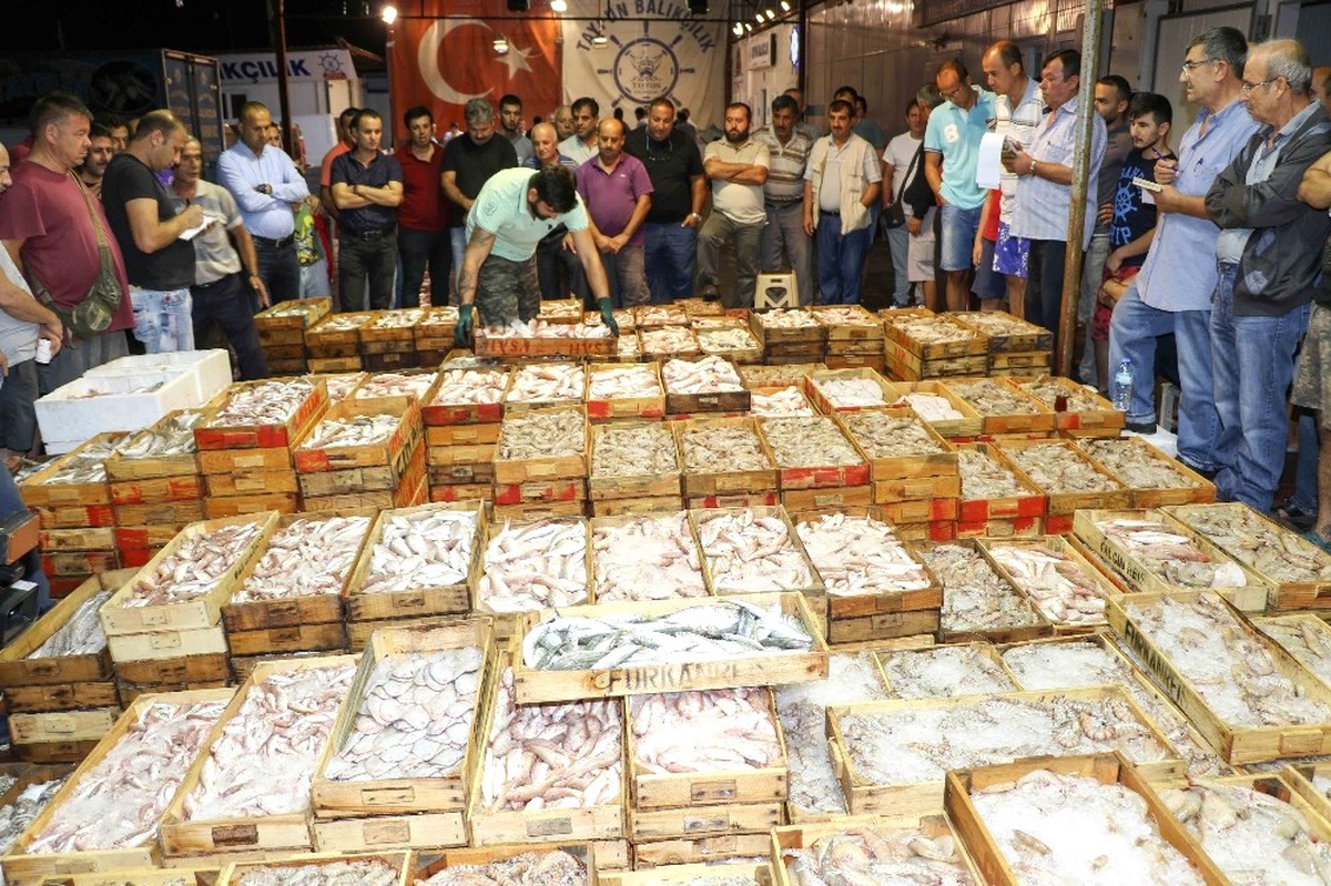 Akdenizli Balıkçılar Sezonu Davul Zurnayla Açtı