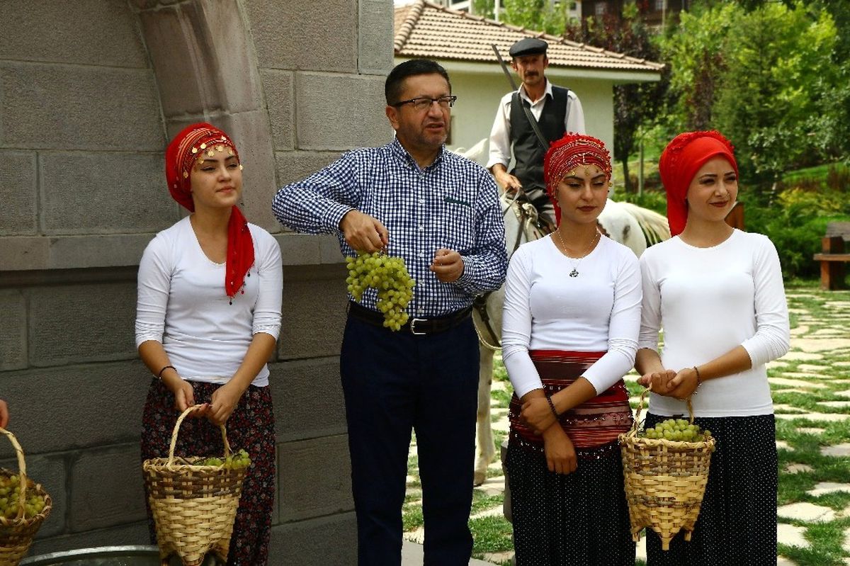 Altınköy\'de Bağ Bozumu Şenliği Yapıldı