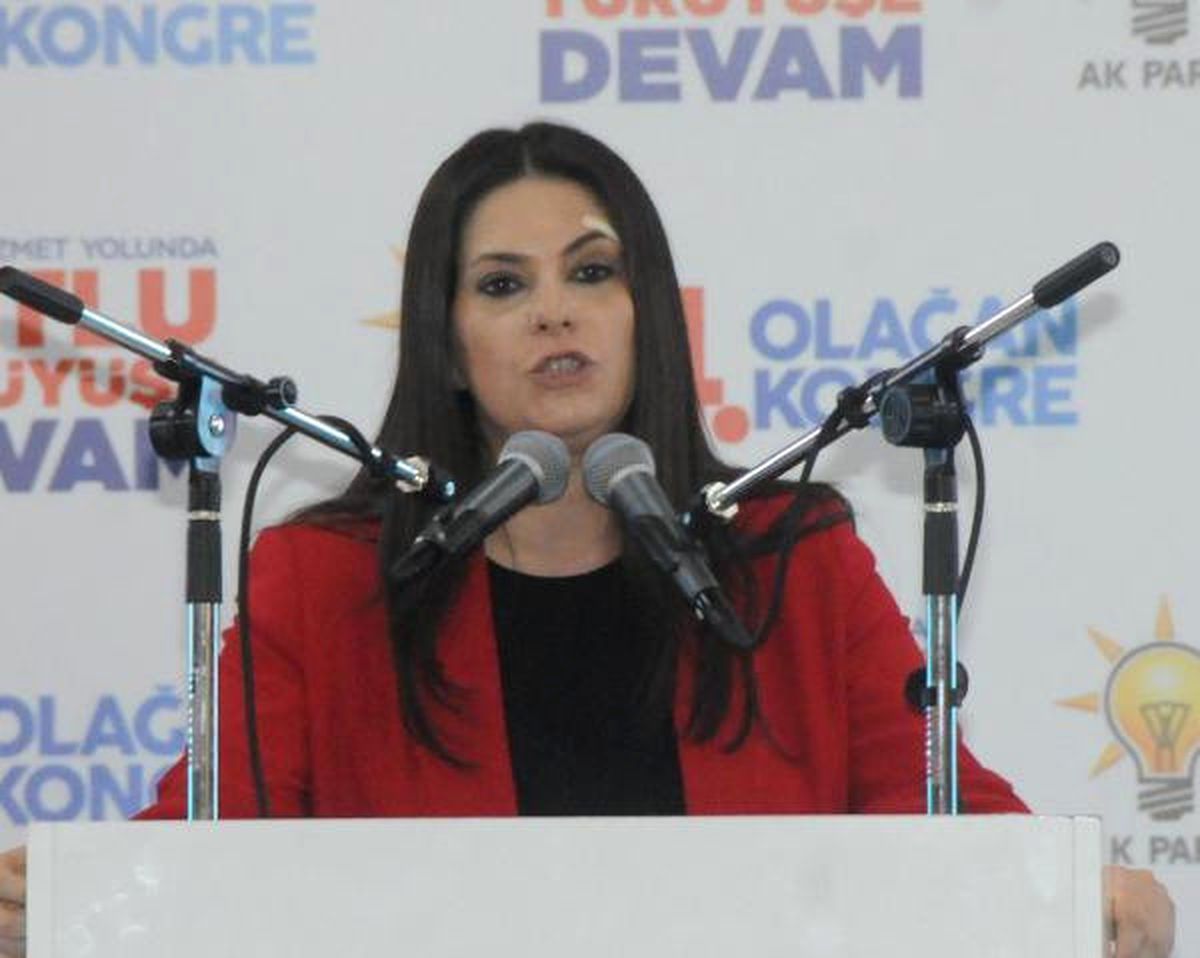 Bakan Sarıeroğlu\'ndan Taşerona Kadro Müjdesi