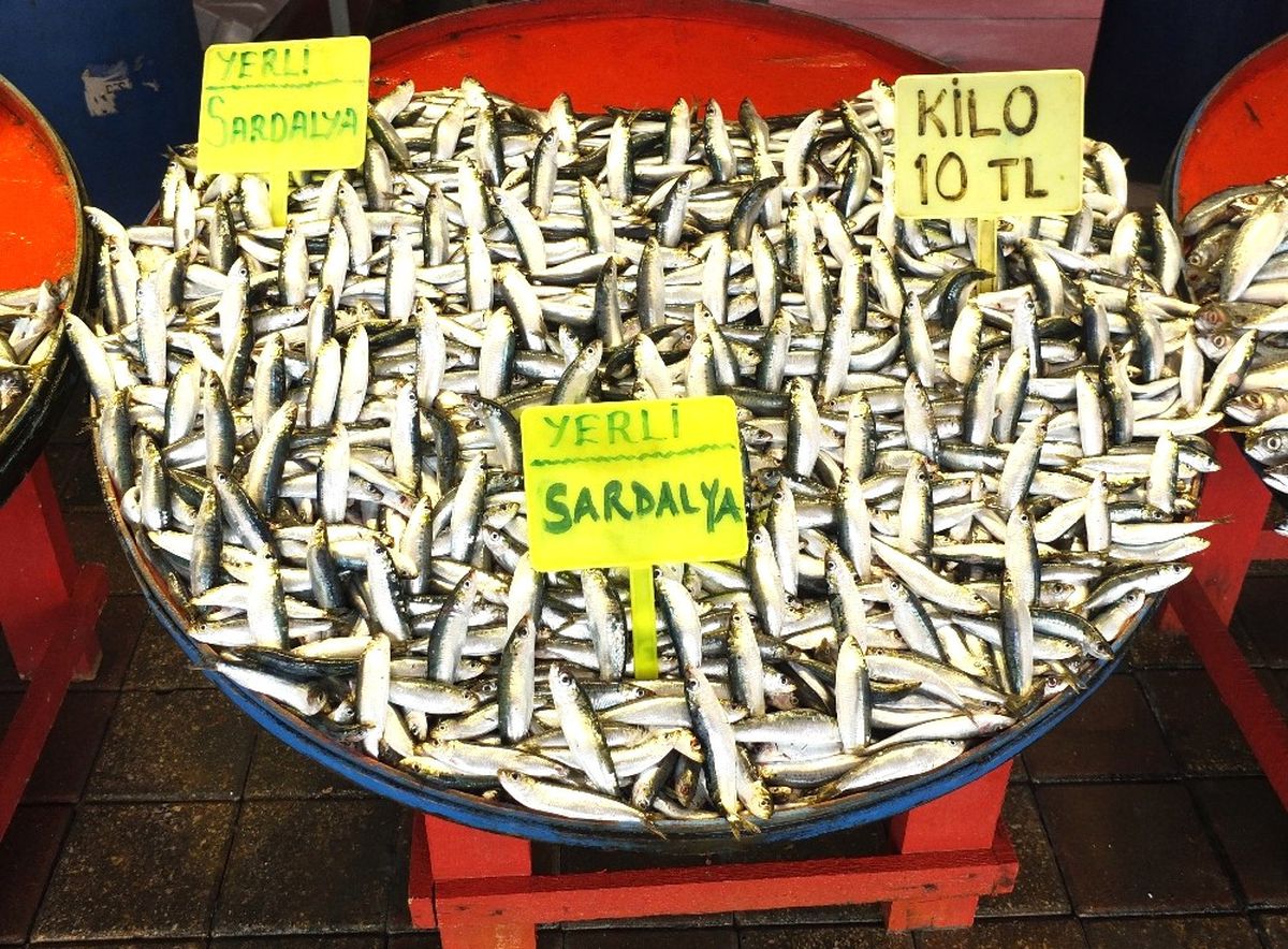 Balık Tezgahları Sardalye ile Doldu
