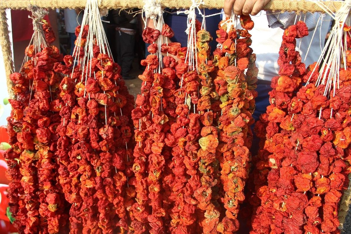 İsot Festivali Tarlada Hasat ile Başladı