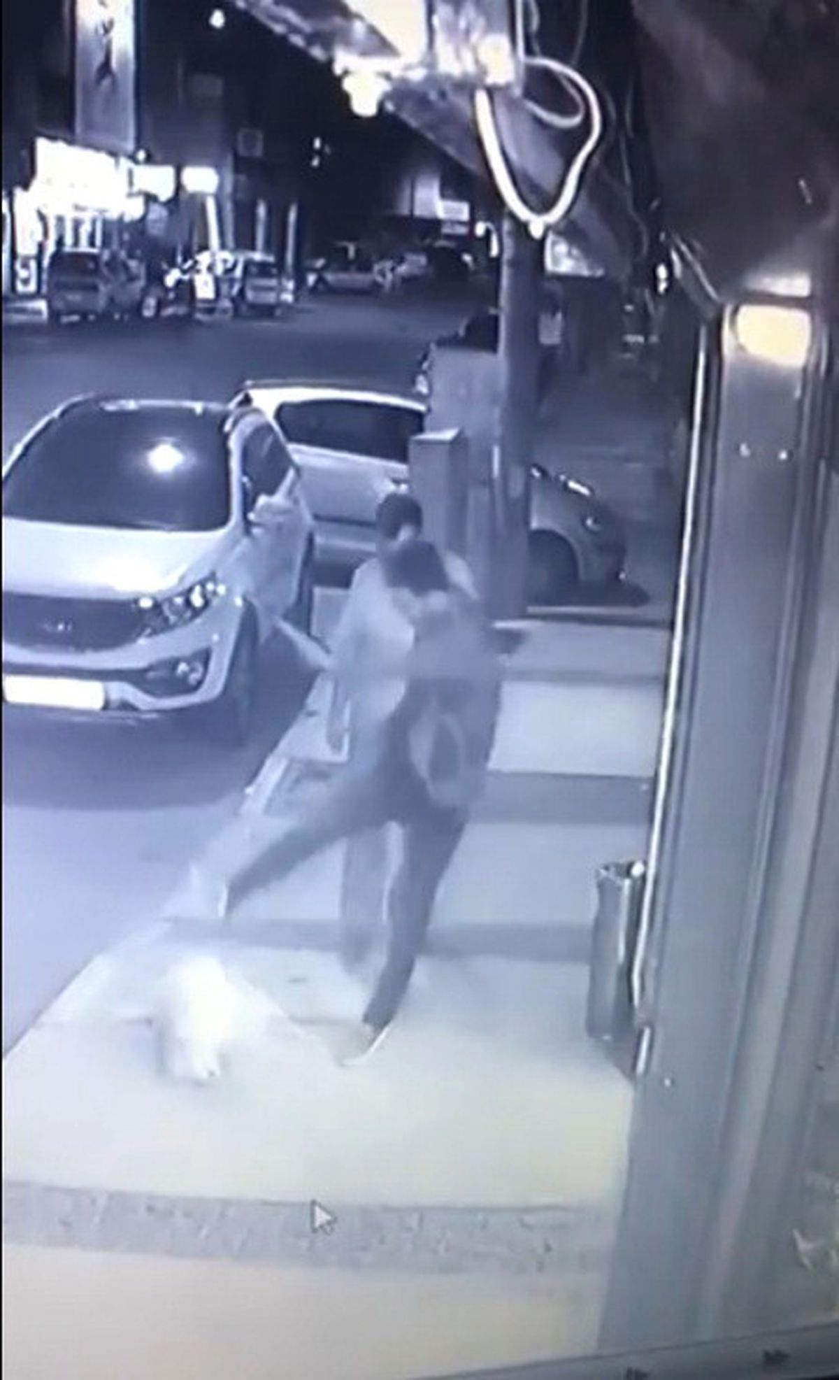Kaldırımda Oturan Köpeğe Tekme