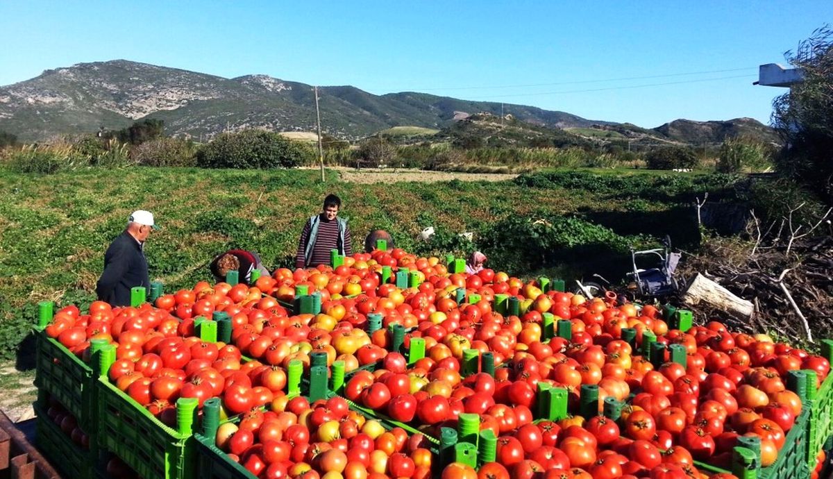 Müsiad Muğla Şube Başkanı Bayhan Açıklaması
