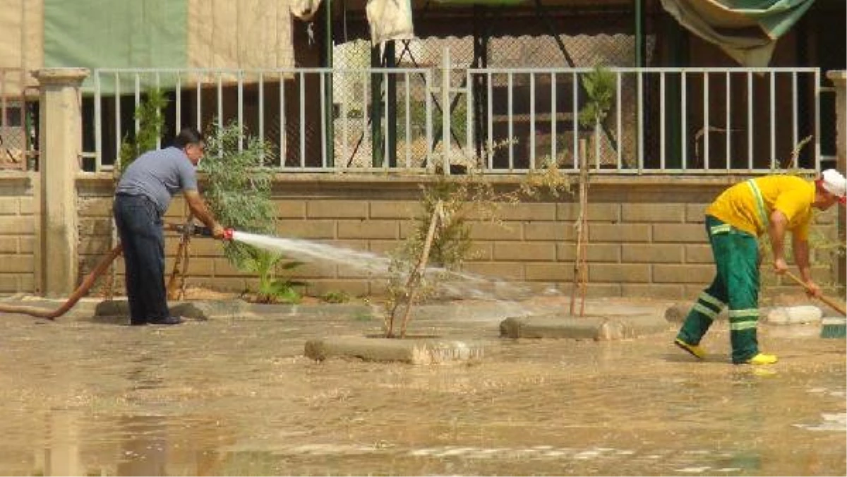 Nusaybin\'de Belediye Bütün Okulların Bahçelerini Temizledi