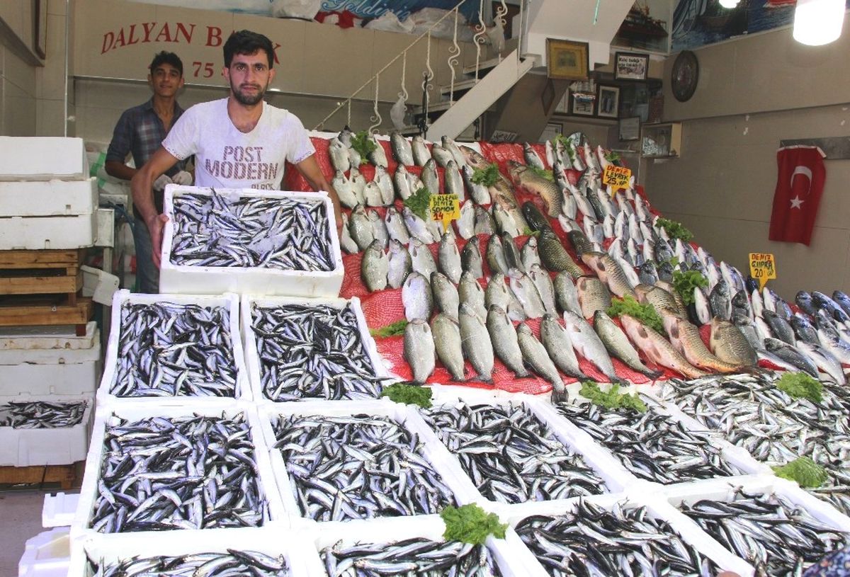 Tezgahlarda Hamsi Bereketi
