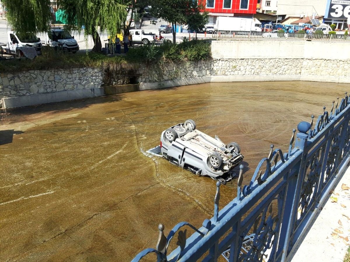 Yoldan Çıkan Hafif Ticari Araç Çaya Uçtu