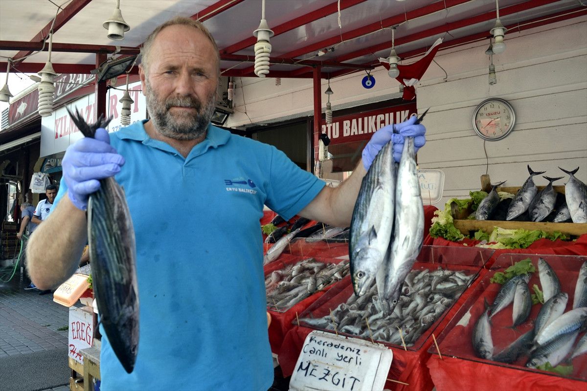 Alaplı\'da Palamut 17 Lira 50 Kuruş