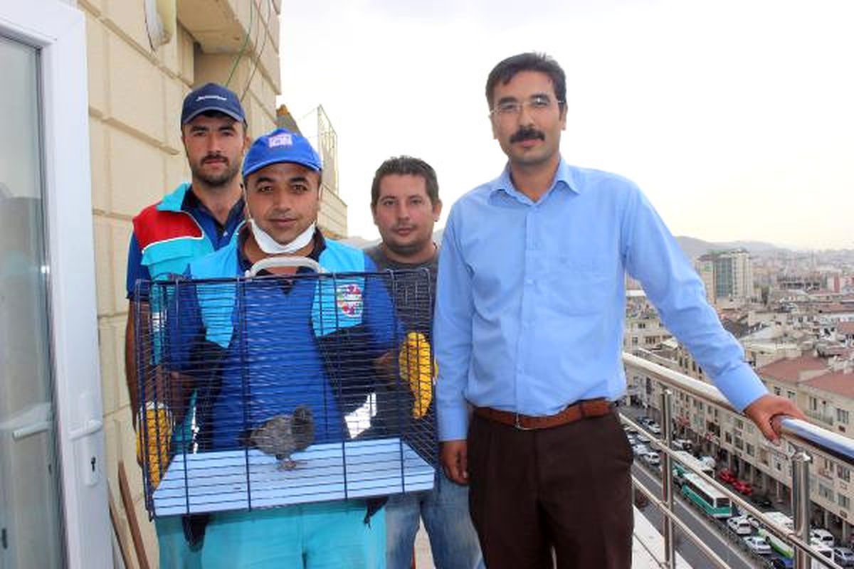 Annesi Ölen Yavru Güvercin İçin Seferber Oldular