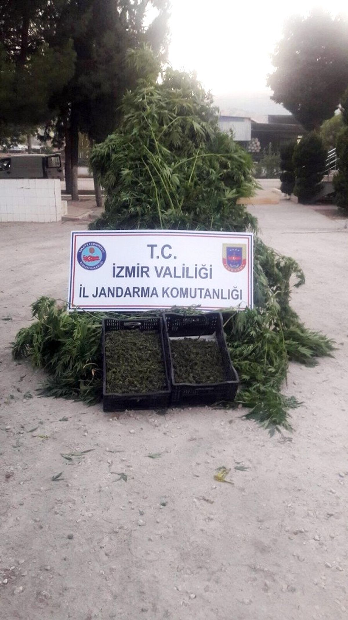 İzmir\'de Uyuşturucu Operasyonu: 3 Gözaltı