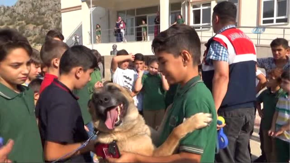 Jandarma Köpekleri Sınıflara Girdi